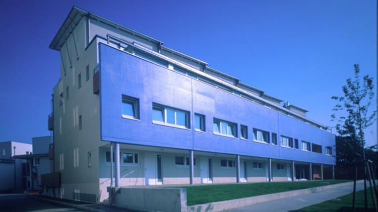 Leberberg