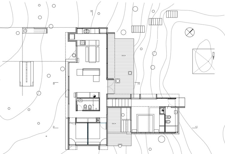 planta-1