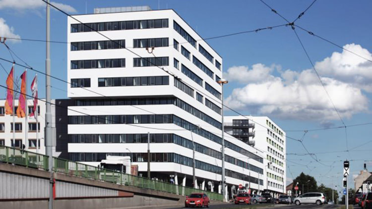 Star 22 Business